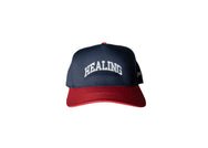 HEALING SNAPBACK